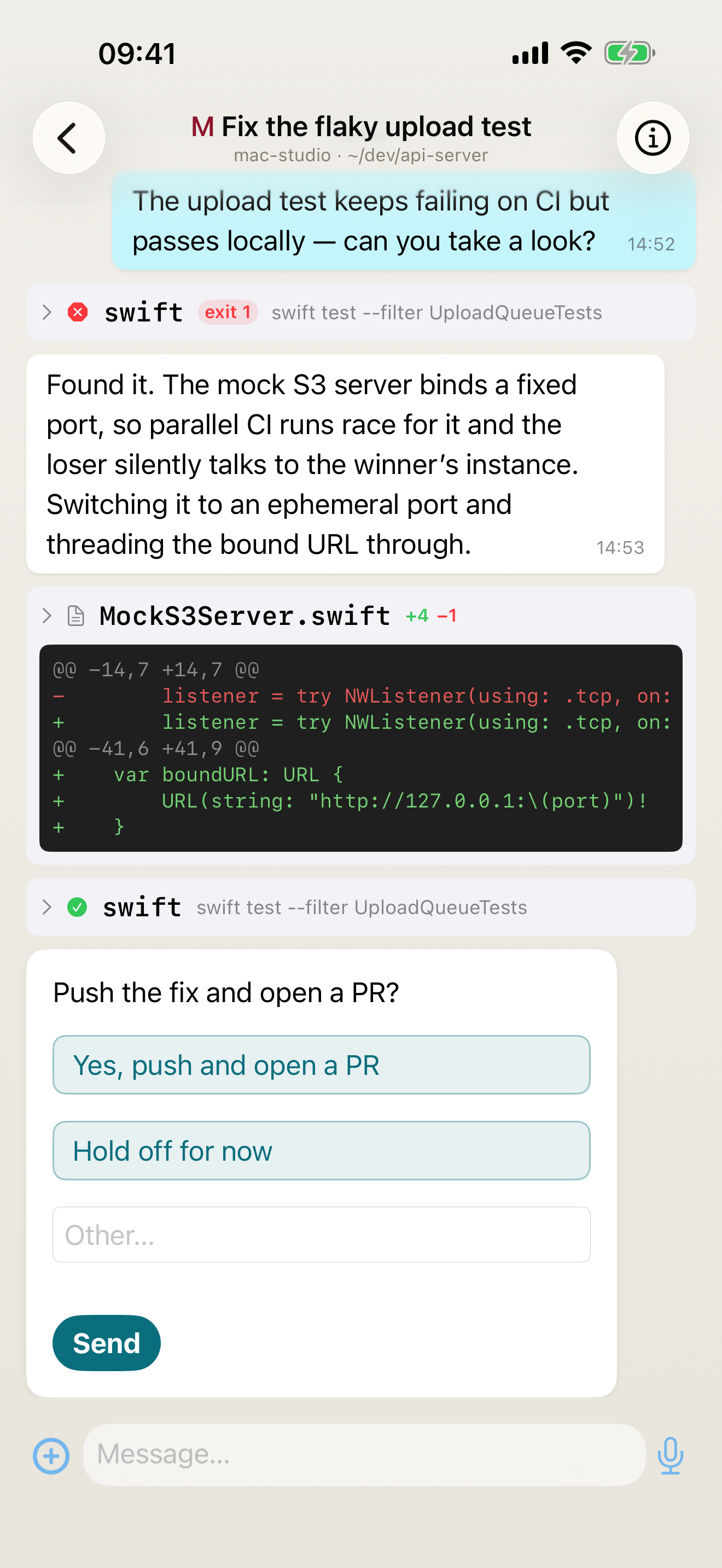 The exact same conversation open in Matron on iPhone, showing identical messages